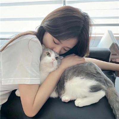 谁来买我的圣诞树