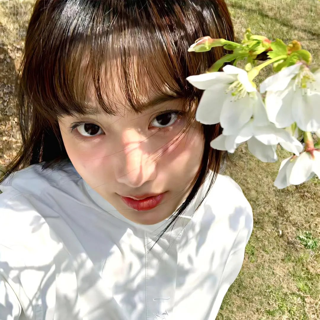 牵牛花